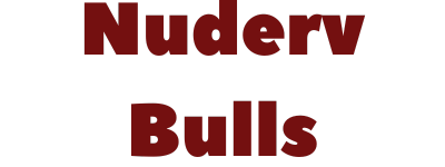 nudervbulls.com